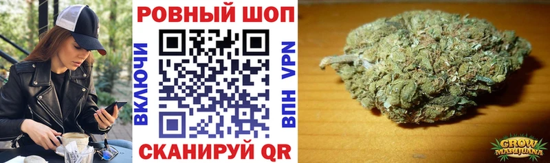  COCAIN Новая Ладога