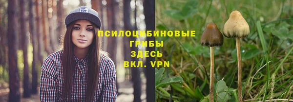 индика Покачи