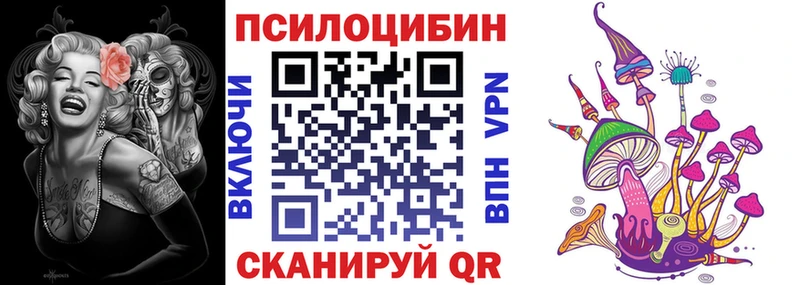 Псилоцибиновые грибы Cubensis  Новая Ладога 